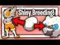 How to breed shiny Pokemon? (Pokemon Sword and Shield guide)