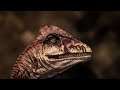 Jurassic World Evolution | Deinonychus Takedowns