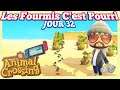 Les Fourmis c'est POURRI 🐜 Animal Crossing New Horizons Switch 🌴 JOUR 32