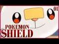 Pokemon Shield: Good or Bad?