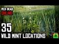 Red Dead Redemption 2 Online - WILD MINT LOCATIONS