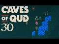 SB Plays Caves Of Qud 30 - Straight Shooter