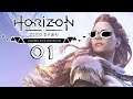 🔴 Sie werden so schnell erwachsen 🏹 Horizon Zero Dawn (Semi Blind) (PS4) [#1]