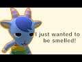 What Does Sherb Smells Like? - Animal Crossing: New Horizons