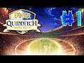 #1 Harry Potter: Quidditch World Cup. Обучение и Кубок Хогвартса