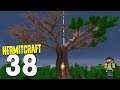 HermitCraft 7: 38 | TREE BASE CANOPY COMPLETE