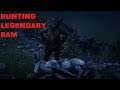 How to Hunt Legendary Ram - RED DEAD REDEMPTION 2
