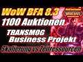 1100 Auktionen: WoW TRANSMOG Business Projekt 📈  Skalierung vs Zeitressourcen | WoW Gold Guide