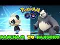Evolving PANCHAM to PANGORO in Pokemon Go