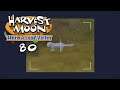Let's Play Harvest Moon: Hero of Leaf Valley 80: Evening Meeting