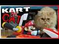 My Cat Hated Mario Kart Live: Home Circuit