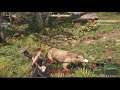 New World MMORPG: Episode 3- Wolf Hunting