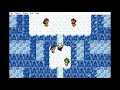 Pokemon Emerald Part 49: The Last Gym Badge