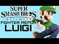 Smash Ultimate Fighter Report #10: Luigi!