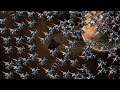 We Played the Hardest Mod in Existence in Starcraft 2 Arcade 2020