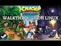 Crash Bandicoot N Sane Trilogy Walkthrough on Linux Part 4 Turtle Woods To Bear It Proton