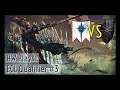 High Elves vs Warriors of Chaos - HW Plays - Total War: Warhammer II