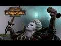 ISABELLA SHOULD BE A HERO - Vampire Counts vs Beastmen // Total War: Warhammer II Online Battle
