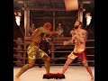 Kumite - Michael Chiesa vs. Teenage Mutant Ninja Turtle - EA Sports UFC 4 - Epic Fight