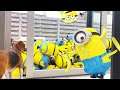 Minions Come To Life! Awesome Compilation