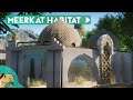 Realistic Meerkat Habitat + Cave System! - Planet Zoo Yosemite Speedbuild Africa Pack
