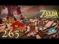 The Legend of Zelda: Breath of the Wild #265 - Der Unwetterinspektor Ω Let's Play