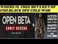 WHERE IS FREE BETA KEYS OF CALL OF DUTY BLACK OPS COLD WAR