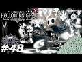 Das Licht in der Leere - Hollow Knight #48