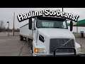 HAULING SOYBEANS TO QUINCY, ILLINOIS! Hauling Soybeans To The River In a 2000 Volvo 18 Wheeler!