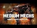 Medium Mechs in Mechwarrior 5: Mercenaries | Full Mission Gameplay