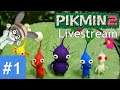 No time for family. Time for Treasure! - Pikmin 2 Live Part 1