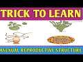 Reproduction In Organisms|Trick To Learn Asexual Reproductive Structure|NCERT Class 12  | NEET