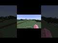 Sussy Minecraft Video