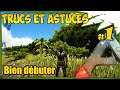 TRUCS ET ASTUCES - BIEN DÉBUTER : ARK Survival Evolved #1