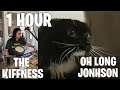 1 HOUR Oh Long Johnson x The Kiffness Talking Cat Live Looping Reggae Remix