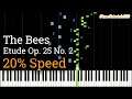 Chopin - Etude Op. 25 No. 2: The Bees (Easy Piano Tutorial) [20% Speed]