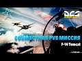DCS World | F14 Tomcat | Совместная PVE миссия