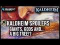 Magic ▶ Kaldheim Spoilers Are In! Gods, Giants and... A Really Big Tree!?
