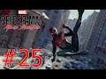 Marvel's Spider-Man: Miles Morales PS5 Playthrough with Chaos part 25: Spider-Plumber