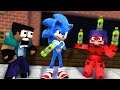 Naughty Sonic Bottleflip Challenge! - Minecraft Animation