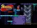 Shantae and the Pirate's Curse part 5 - Back to the Sewers
