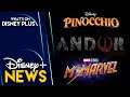 Star Wars: Andor, Pinocchio & Ms Marvel Disney+ Release Window Revealed | Disney Plus News