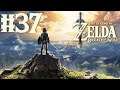 Zelda: Breath Of The Wild - Gameplay ITA - Le Fate Strozzine - Ep#37