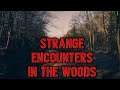 15 Strange Encounters in the Woods
