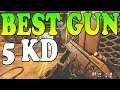 Dominating with the BEST GUN in Call of Duty Black Ops Cold War!