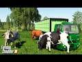🔥 Kupiliśmy MUĆKI z Wikusia 🦹‍♀️👨🏼‍🌾 Rolnicy Z Miasta 😍 Farming Simulator 19 🚜