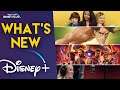 What's New On Disney+ | Into The Unknown & Marvel Avengers Infinity War + More