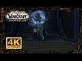 WOW SHADOWLANDS Gameplay Walkthrough 4K ᵁᴴᴰ 60ᶠᵖˢ ✔ TORGHAST Coldheart Interstitia Layer 6 DRUID