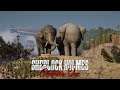 15: Wie man einen Elefanten fängt 🕵️‍♂️ SHERLOCK HOLMES: CHAPTER ONE  (Streamaufzeichnung)