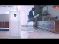 5 Budget Air Purifiers to consider in India | Digit.in